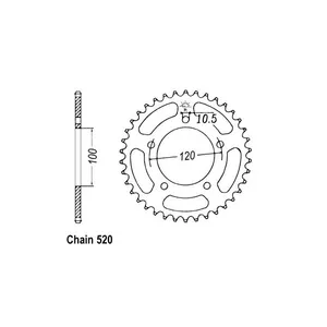 JT Sprockets JT Rear Sprocket 703.44