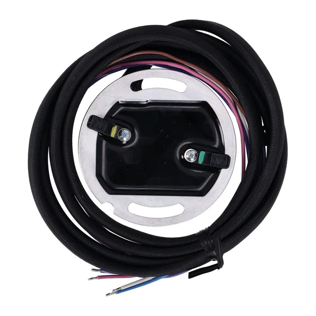 S&S SuperStock ignition module. 80" S&S Shovel