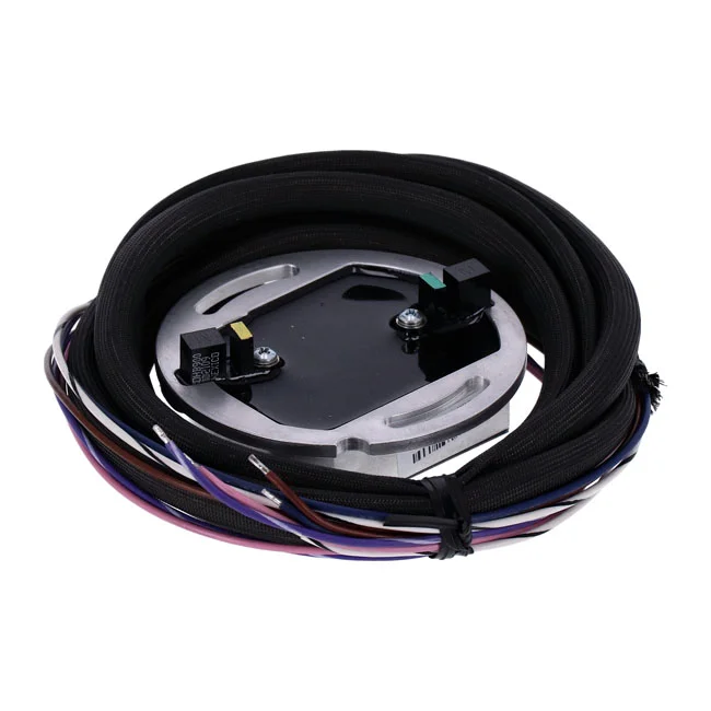 S&S SuperStock ignition module. 103" S&S Shovel