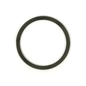 MCS Retaining ring, shifter cam