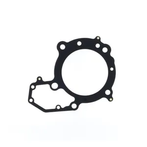Athena Athena, Cylinder head gasket