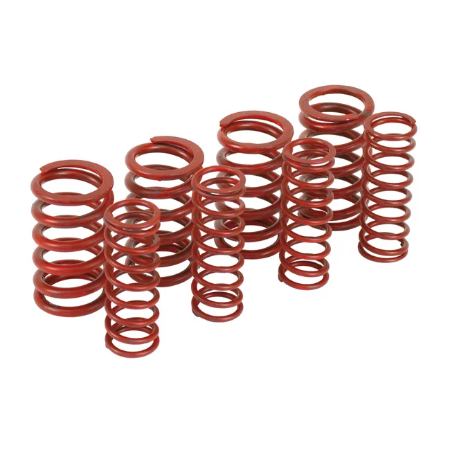 Andrews High performance spring set .560" lift