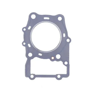 Athena Athena, Cylinder head gasket