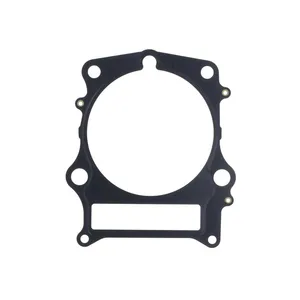 Athena Athena, Cylinder base gasket