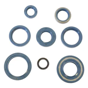 Athena Athena, engine oil seal kit