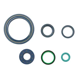Athena Athena, engine oil seal kit