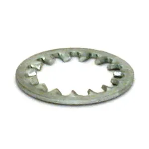Gardner-Westcott Lockwasher, swingarm bolt