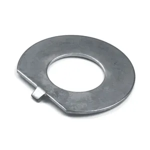 MCS Lock washer, fork stem nut