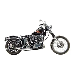 Paughco Paughco, Shorty exhaust (38"). Chrome