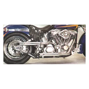 Paughco Paughco, Shotgun shorty exhaust (38"). Chrome