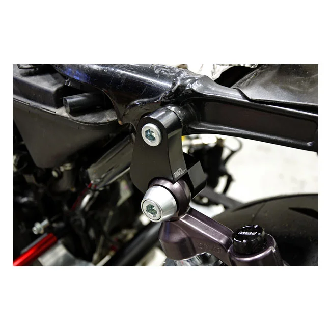 Free Spirits Spirits, Sportster tail riser kit