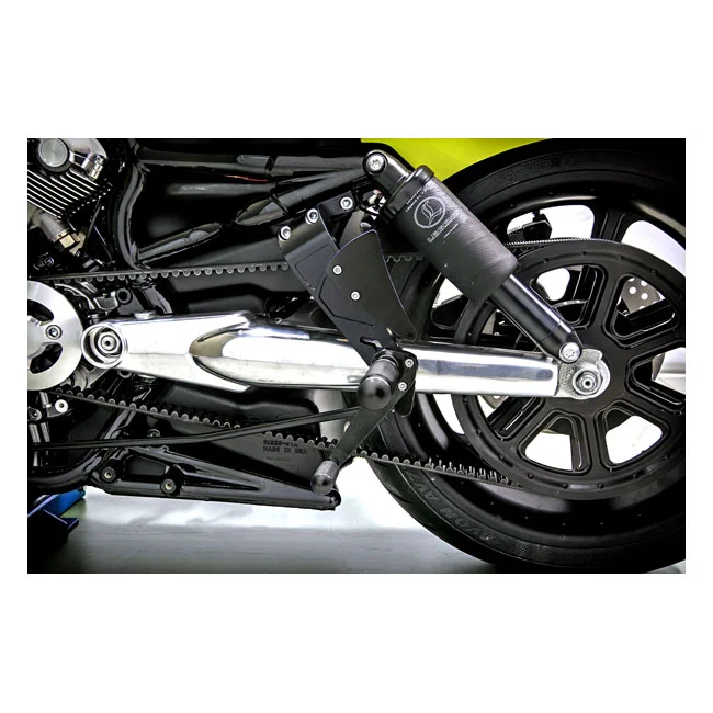 Free Spirits Spirits, rear set controls for V-Rod