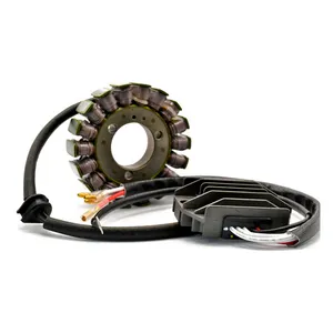 Rick's Motorsport Electronics Rick''s Hot Shot Lithium Ion compatible charging kit