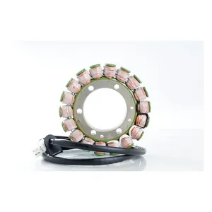 Rick's Motorsport Electronics Rick''s stator, OEM style Honda