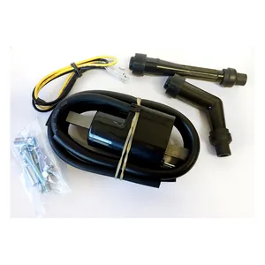 Rick's Motorsport Electronics Rick''s ignition coils