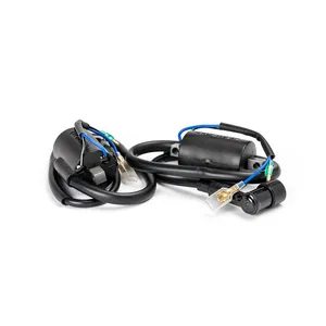 Rick's Motorsport Electronics Rick''s ignition coils
