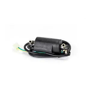 Rick's Motorsport Electronics Rick''s ignition coil