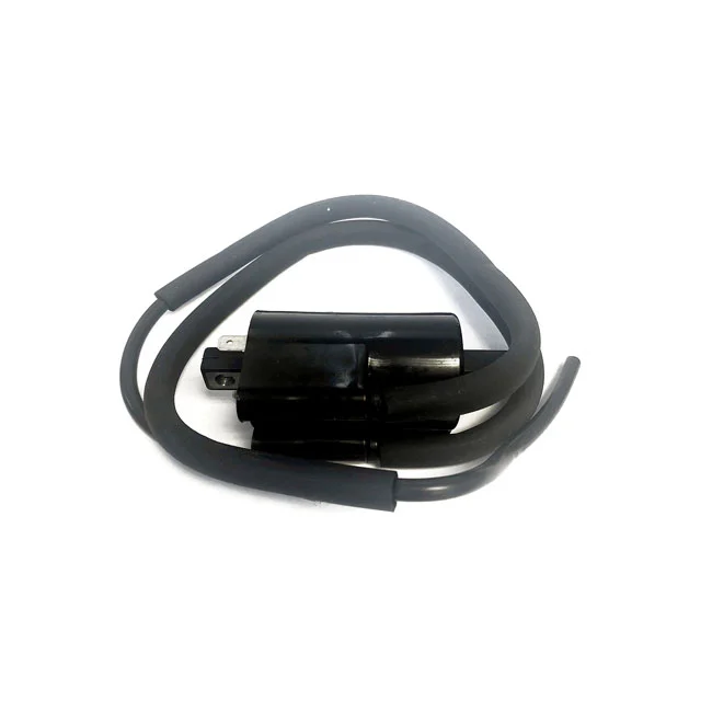 Rick's Motorsport Electronics Rick''s ignition coil