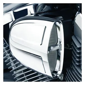 Cobra Cobra, PowrFlo intake system. Chrome