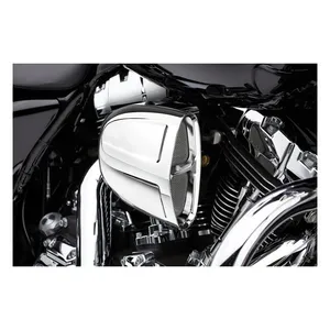 Cobra Cobra, PowrFlo intake system. Chrome