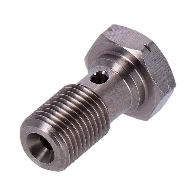 Goodridge Banjo bolt, m10 x 1.00, ss
