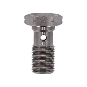 Goodridge Goodridge banjo bolt, m10 x 1.00, ss