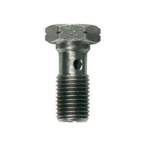 Goodridge Goodridge banjo bolt, M10 x 1.25. SS
