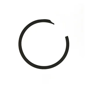 MCS Retaining rings, sprocket shaft bearing. Outer