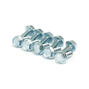 MCS Flanged screw