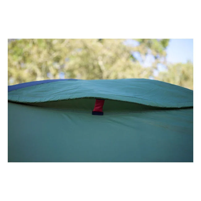 Coleman Darwin 2+ tent dark grey/army green