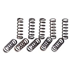 MCS Spring, crankcase oil screen