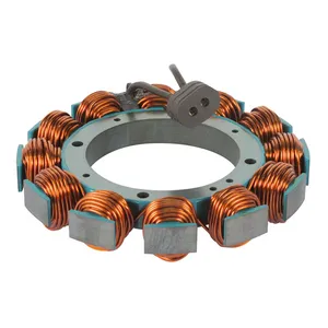 Cycle Electric Cycle Electric, Alternator stator unmolded