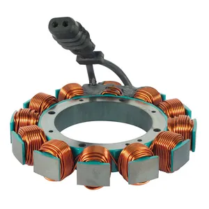 Cycle Electric Cycle Electric, Alternator stator unmolded