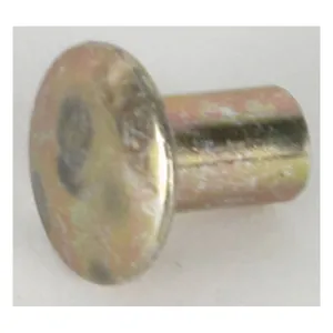 Cycle Electric Cycle Electric, rivet