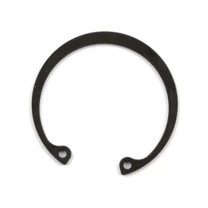 Cycle Electric Cycle Electric, retaining ring generator bearing
