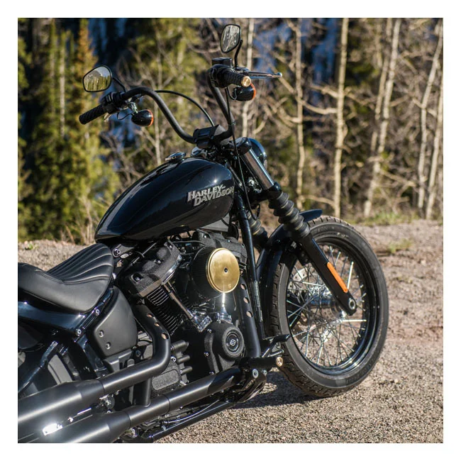 Arlen Ness Ness, Air Trax grips. Brass end cap