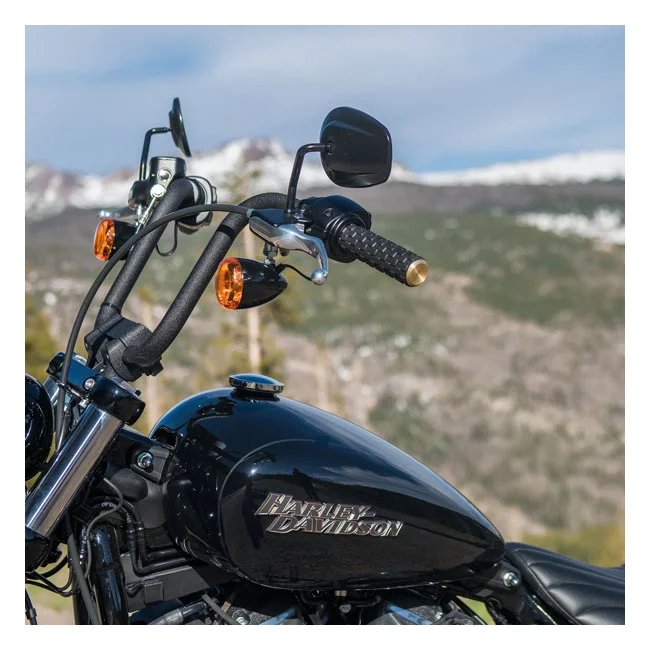 Arlen Ness Ness, Air Trax grips. Brass end cap