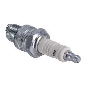 OEM OEM spark plug 4R5