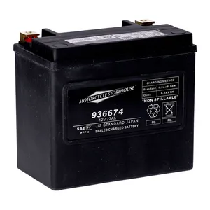 MCS MCS, standard series - AGM sealed battery. 12V, 22Ah. 325CCA