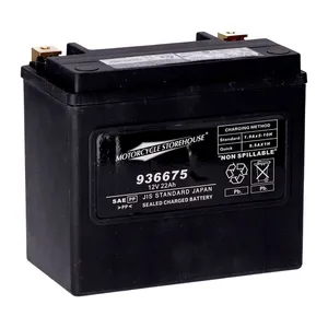 MCS MCS, standard series - AGM sealed battery. 12v, 22ah. 325cca