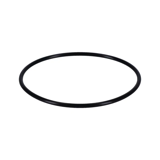 MCS O-ring, throttle body to manifold - 938929