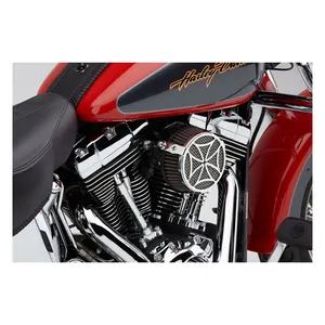 Cobra Cobra, Naked air cleaner kit Cross. Chrome