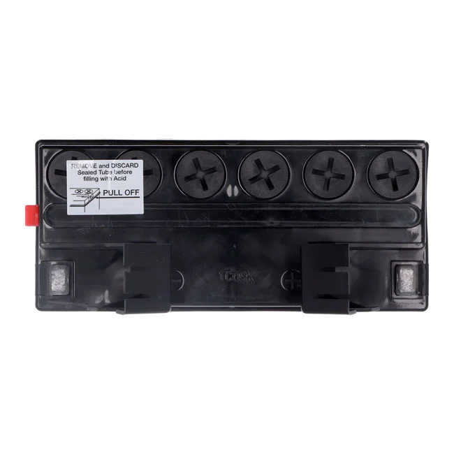Yuasa Conventional battery