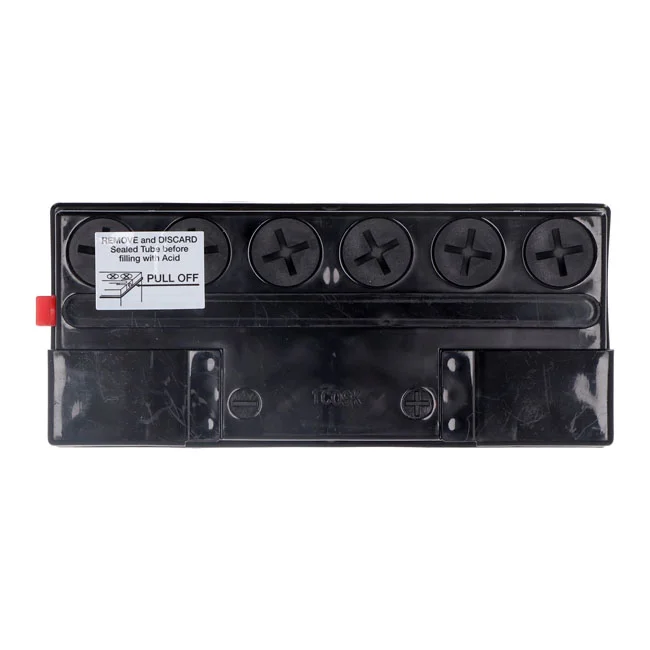 Yuasa Conventional battery