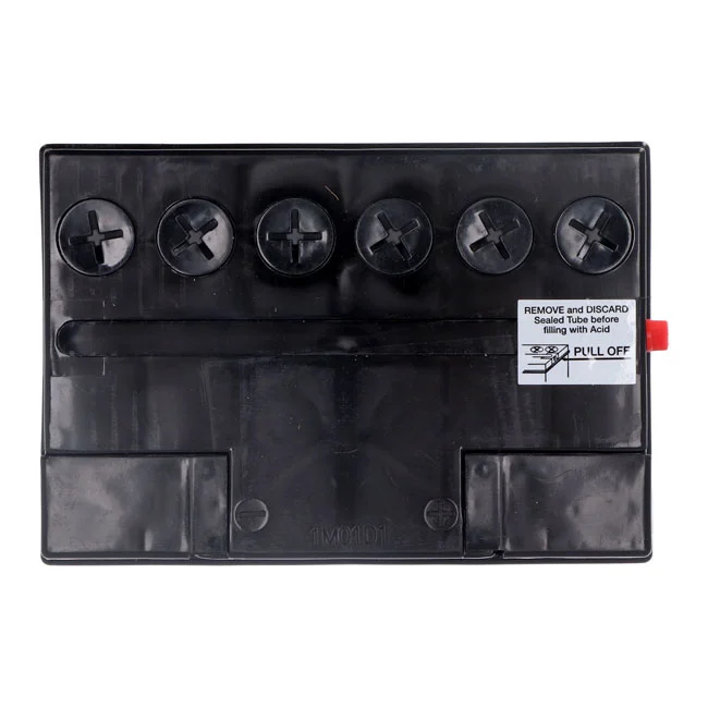 Yuasa Conventional battery