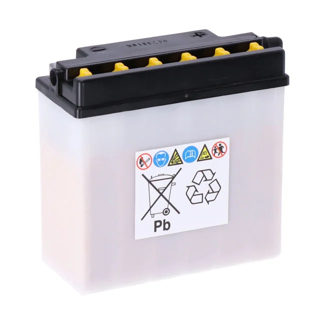 Yuasa Conventional 12V battery
