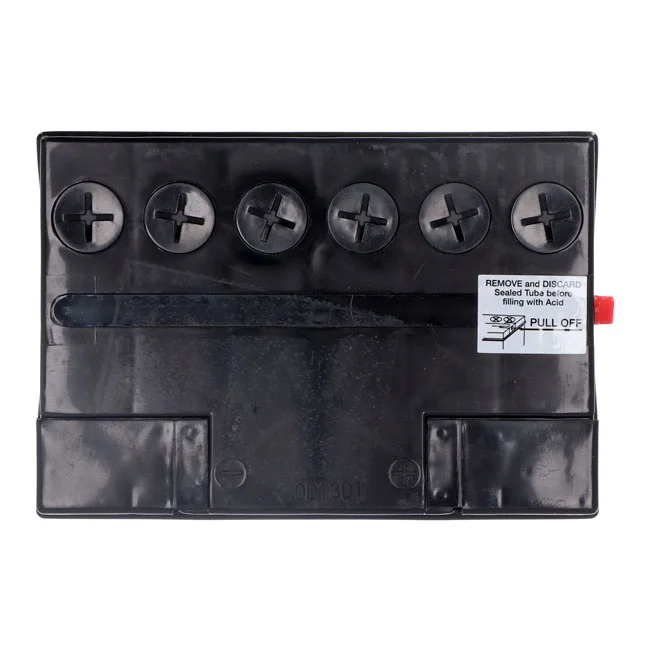 Yuasa Conventional battery
