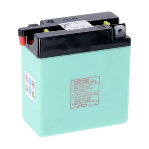 Yuasa Yuasa, Conventional 6V battery