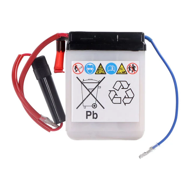 Yuasa Conventional 6V battery