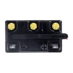 Yuasa Yuasa, Conventional 6V battery